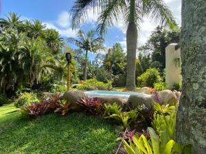 a pool in a garden with palm trees and plants at La Mancha in Southbroom