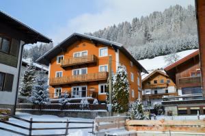 Aparthotel Pinzgau im Winter