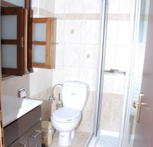 a bathroom with a toilet and a shower at Hotel Dryades in Negádes