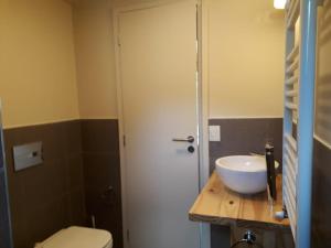 ein Badezimmer mit einem weißen Waschbecken und einem WC in der Unterkunft MONOAMBIENTE in San Martín de los Andes