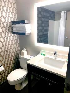 een badkamer met een toilet, een wastafel en een spiegel bij Holiday Inn St. Paul Downtown, an IHG Hotel in Saint Paul