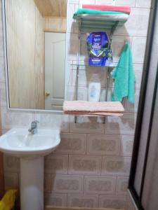 a bathroom with a sink and a mirror and towels at Flor/Victoria in Villarrica +17 photos