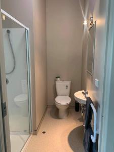 a bathroom with a toilet and a shower and a sink at Catlins Inn in Owaka