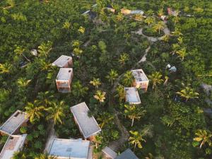 an aerial view of a resort with palm trees and houses at Kizikula in Kizimkazi
