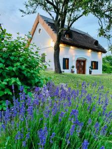 Gallery image of Kál Kőve Vendégház és Bortéka in Köveskál