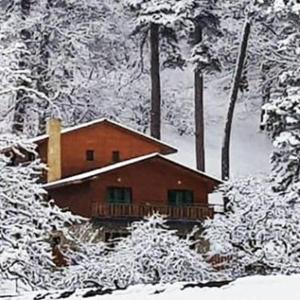 a building covered in snow next to some trees at Villa B Barleon-Bakuriani in Bakuriani
