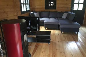 a living room with a couch and a tv at Chalet Bois Laruns in Laruns