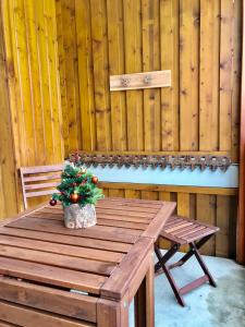 卢登维耶尔Appartement-Terrasse "Les Edelweiss" - Loudenvielle location的相册照片