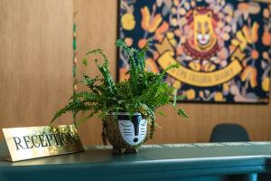 a plant sitting on top of a table next to a vase at Domus Hotel-1 in Kyiv