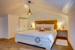 a bedroom with a large white bed in a room at Casa mille olivi in Buzet