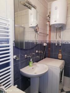 Baño pequeño con lavabo y espejo en Apartman Monika Zlatar Nova Varos, en Nova Varoš