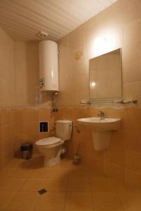 La salle de bains est pourvue de toilettes, d'un lavabo et d'un miroir. dans l'établissement Silver Beach Apart Complex, à Byala