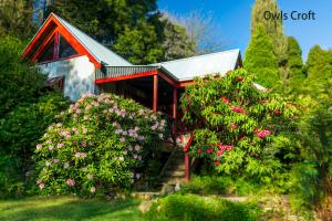 
a garden filled with lots of plants next to a house at Observatory Cottages in Mount Dandenong
