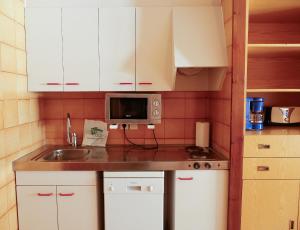 una pequeña cocina con fregadero y microondas en Kione Paradís Blanc, en Pas de la Casa