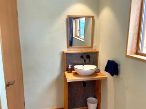 a bathroom with a sink and a mirror at Montefino - warm wooden chalet in Nozawa Onsen