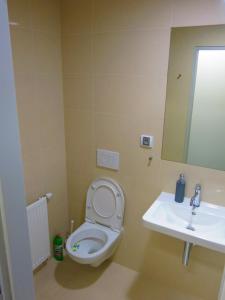 a bathroom with a toilet and a sink at Elmontex Air in Mošnov