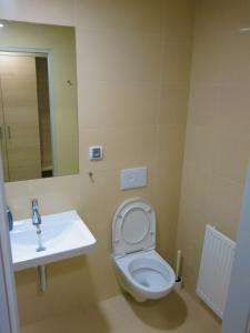 a bathroom with a toilet and a sink at Elmontex Air in Mošnov