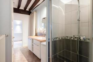 a bathroom with a shower and a sink at Gîte de la Prévôté in Sergy