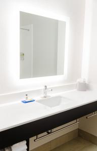 a bathroom with a white sink and a mirror at Holiday Inn Express Hotel & Suites Greenville, an IHG Hotel in Greenville
