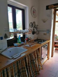uma cozinha com um balcão com um lavatório e um fogão em Agriturismo Campolungo em Sant'Ermo