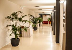 巴里Hotel Excelsior Bari的相册照片