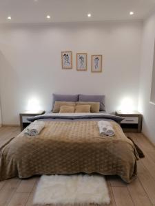 Ένα ή περισσότερα κρεβάτια σε δωμάτιο στο Apartman Sofi LUX