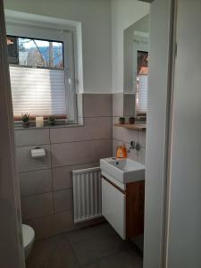 a bathroom with a sink and a toilet and a window at Landhaus Theresia in Sankt Martin am Tennengebirge