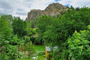 a view of a mountain from a yard with trees at Briançon-Serre Chevalier - Apt 3 pièces - 4 à 6 couchages - Au calme-Jardin mis à dispo in Briançon