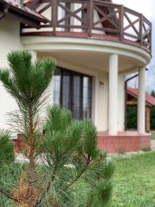 Vonkajšia záhrada v ubytovaní DOM PIERKUNOWSKI