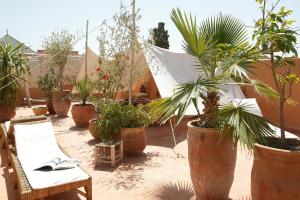 En hage utenfor Riad O2