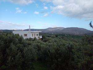 a white house on a hill with mountains in the background at Villa Helen's Olive Garden in Xerokampos
