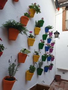 Fotografia z galérie ubytovania Arc House Córdoba Only Adults v destinácii Córdoba + 32 fotografií