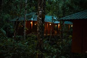 una cabaña en el bosque por la noche en Monsoon Retreats Ecostay- Treehouse, en Thekkady