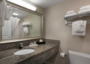 a bathroom with a sink and a mirror at Caribbean Resort Myrtle Beach in Myrtle Beach