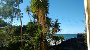 a palm tree with the ocean in the background at Suites Brilho do Sol in Ubatuba