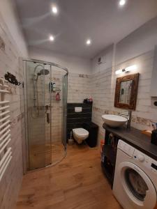 a bathroom with a shower and a toilet and a sink at Apartamenty na Szlaku in Czarny Dunajec
