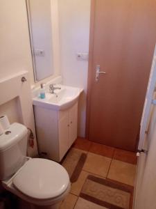 uma casa de banho com um WC branco e um lavatório. em Domek em Reľov