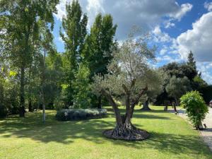Fotografie z fotogalerie ubytování Can Sagnari v destinaci Cornellá de Terri