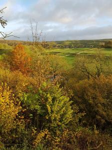 a view of a field with trees and bushes at The Sett on The Wharfe in Threshfield
