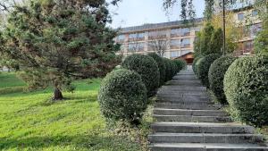 Vonkajšia záhrada v ubytovaní Ośrodek Wczasowy PANORAMA Szczyrk