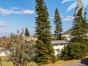 a group of tall trees in front of a house at Blueys Beach Villa Manyana 26 in Blueys Beach