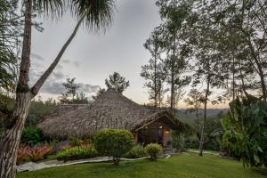 Gallery image of Gaia Riverlodge in San Ignacio