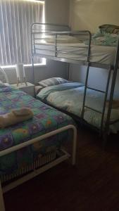 a bedroom with two bunk beds and a window at Grey Pebbles in Nowra