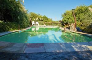 a swimming pool with green water in a yard at Posada de campo Maia in Merlo