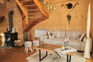 a living room with a couch and a wood stove at Domy na Spiszu in Czarna Góra