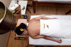 Majutusasutuse Yog Wellness Resort & Spa By Amritara külastajad