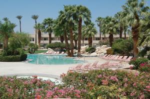 Bazén v ubytování Miracle Springs Resort and Spa nebo v jeho okolí