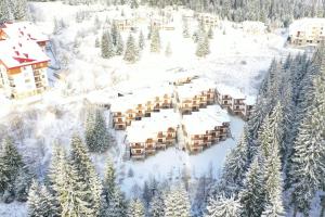 パンポロボにあるRaikov Ski Lodge private apartmentsの雪の中のリゾートの空中ビュー