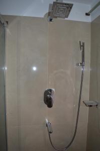 a shower in a bathroom with a glass door at Apartment in Nepal in Kathmandu