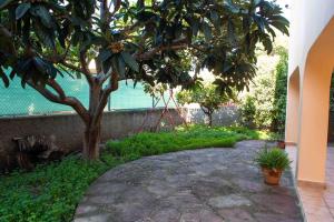 Ogród w obiekcie FLORIT FLATS - The Orange Lemon Tree House